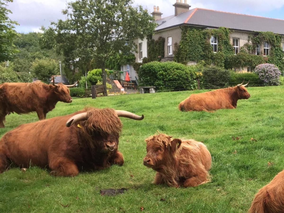 Bed and Breakfast Glendine House Arthurstown Exterior foto