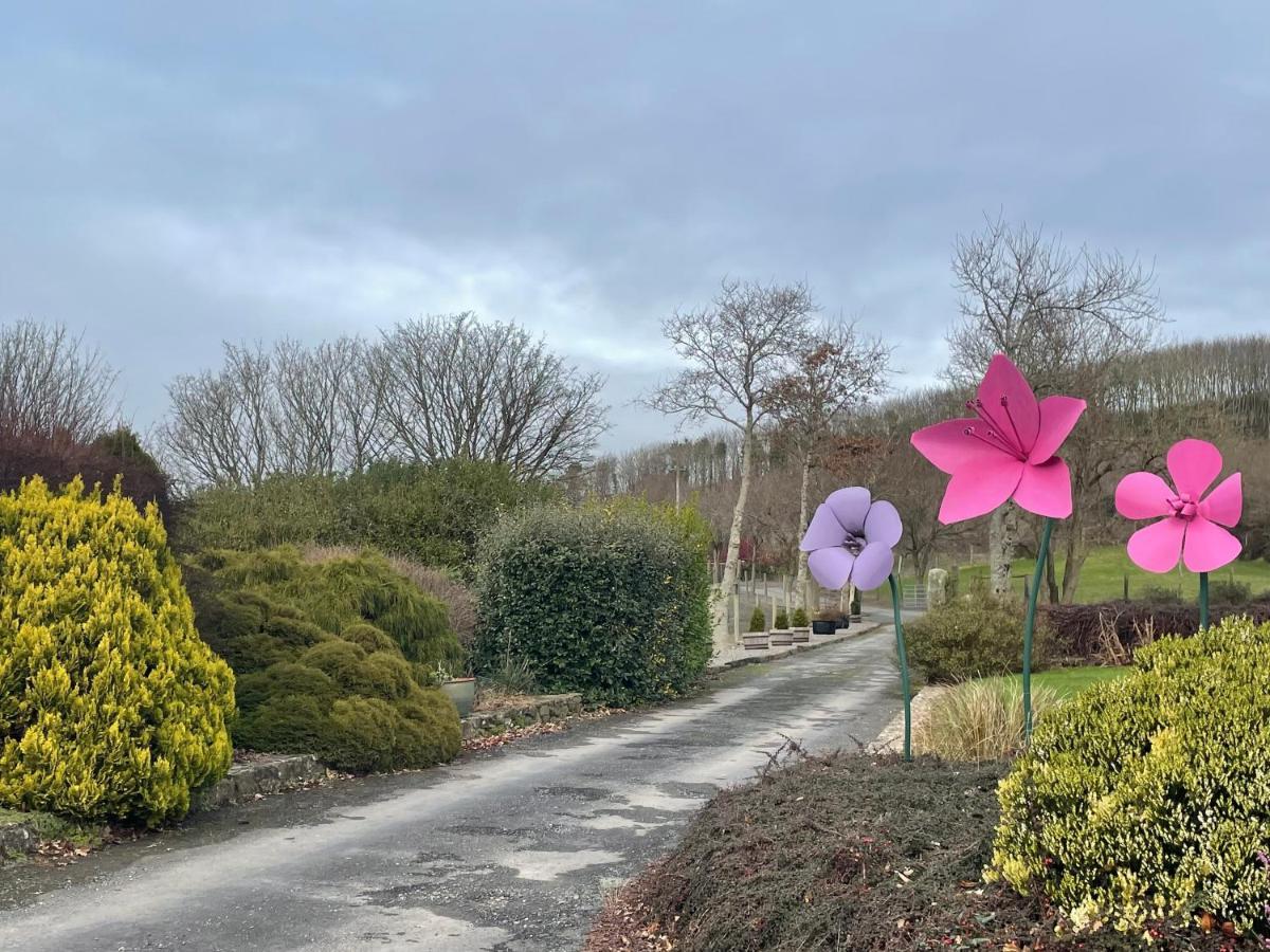 Bed and Breakfast Glendine House Arthurstown Exterior foto